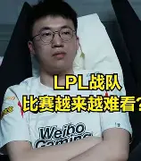 doinb最新官方消息 