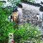 皖南暴熊队对阵齐鲁雪豹队,冰球杯赛火力全开,门将神扑救主——经验成为胜负手(华杯赛2025报名小学入口) 皖南暴熊队对阵齐鲁雪豹队,冰球杯赛火力全开,门将神扑救主——经验成为胜负手(华杯赛2025报名小学入口)